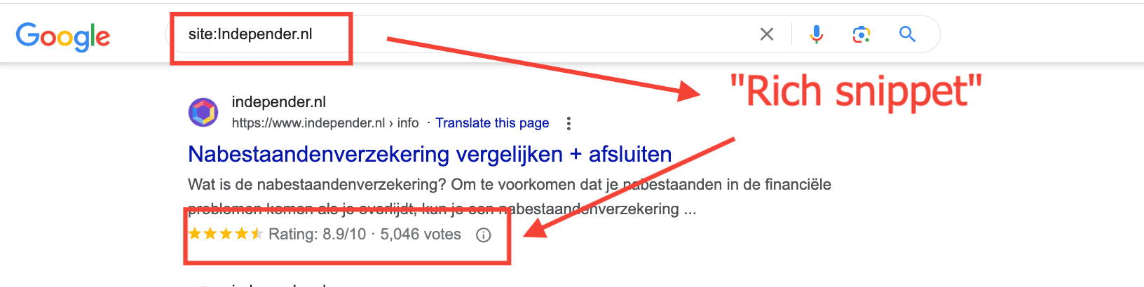Screenshot Google Search