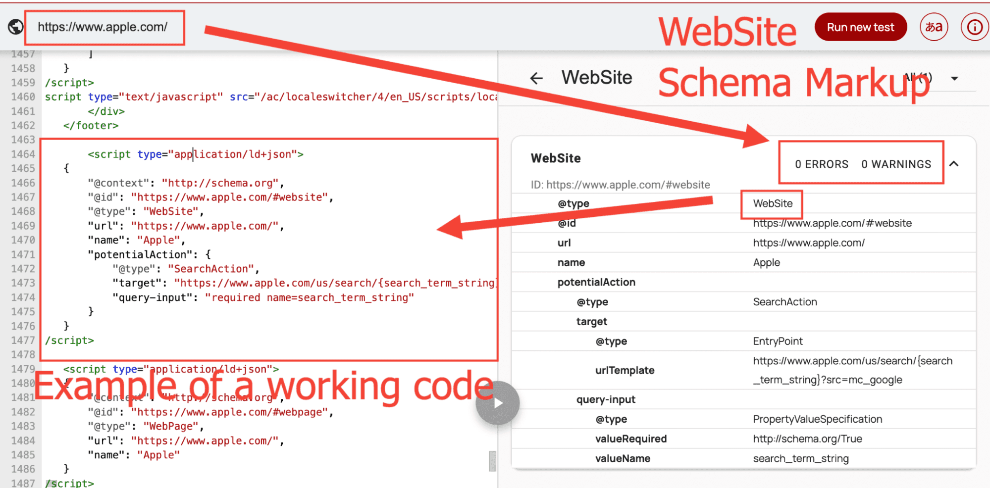 Website Schema Markup